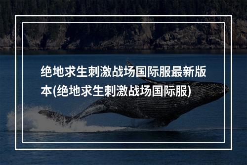 绝地求生刺激战场国际服最新版本(绝地求生刺激战场国际服)