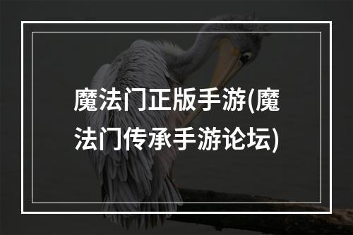 魔法门正版手游(魔法门传承手游论坛)