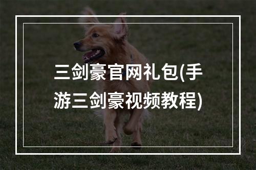 三剑豪官网礼包(手游三剑豪视频教程)