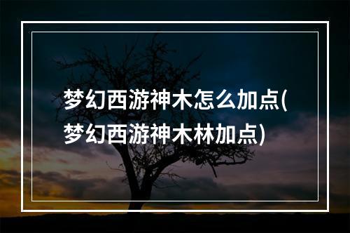 梦幻西游神木怎么加点(梦幻西游神木林加点)