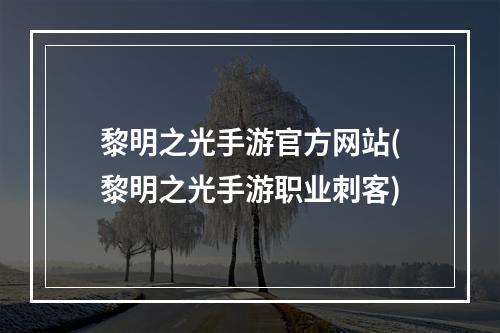 黎明之光手游官方网站(黎明之光手游职业刺客)