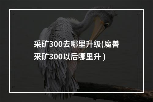 采矿300去哪里升级(魔兽采矿300以后哪里升 )