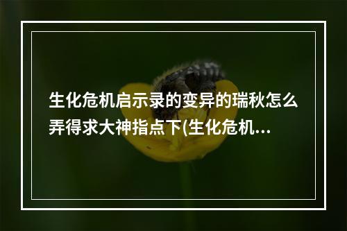 生化危机启示录的变异的瑞秋怎么弄得求大神指点下(生化危机启示录瑞秋)