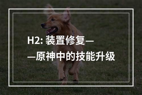 H2: 装置修复——原神中的技能升级