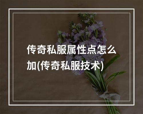 传奇私服属性点怎么加(传奇私服技术)