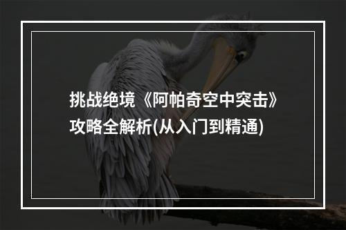 挑战绝境《阿帕奇空中突击》攻略全解析(从入门到精通)