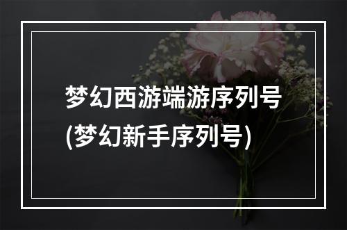 梦幻西游端游序列号(梦幻新手序列号)