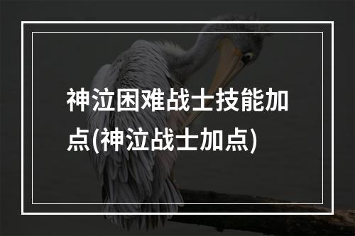 神泣困难战士技能加点(神泣战士加点)