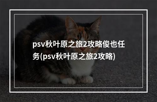 psv秋叶原之旅2攻略俊也任务(psv秋叶原之旅2攻略)