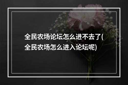 全民农场论坛怎么进不去了(全民农场怎么进入论坛呢)