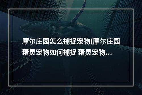 摩尔庄园怎么捕捉宠物(摩尔庄园精灵宠物如何捕捉 精灵宠物捕捉攻略 摩尔庄园手游)