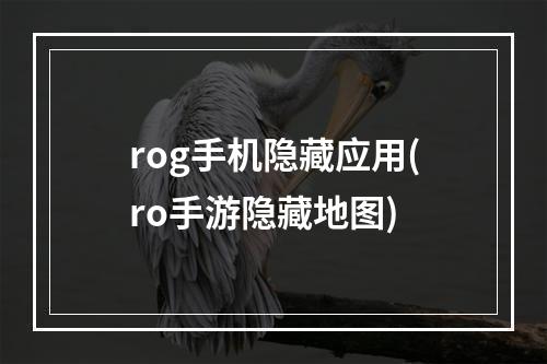 rog手机隐藏应用(ro手游隐藏地图)