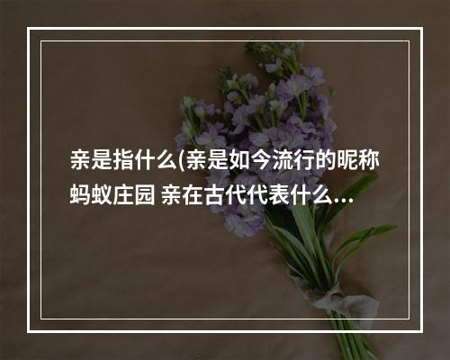 亲是指什么(亲是如今流行的昵称蚂蚁庄园 亲在古代代表什么7.19)