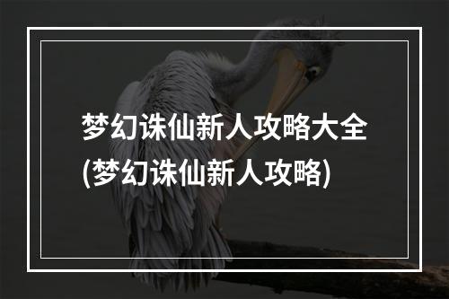 梦幻诛仙新人攻略大全(梦幻诛仙新人攻略)