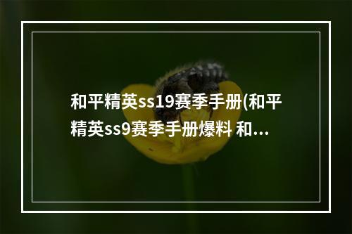 和平精英ss19赛季手册(和平精英ss9赛季手册爆料 和平精英ss9赛季手册爆料)