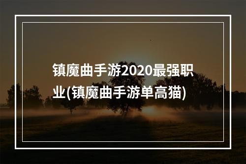 镇魔曲手游2020最强职业(镇魔曲手游单高猫)