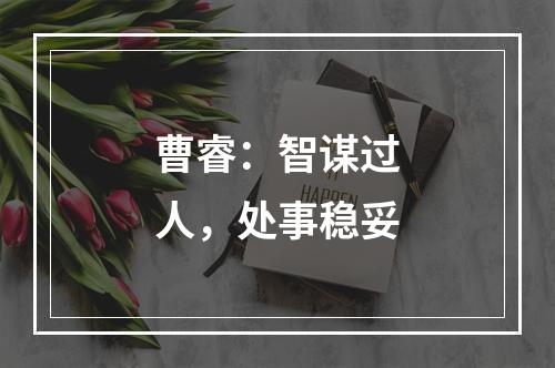 曹睿：智谋过人，处事稳妥