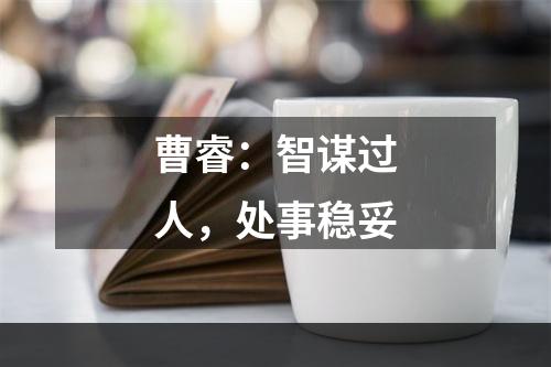 曹睿：智谋过人，处事稳妥