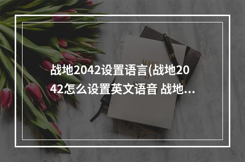 战地2042设置语言(战地2042怎么设置英文语音 战地2042英文语音简单设置)