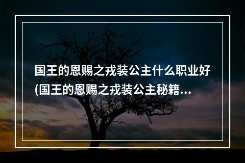 国王的恩赐之戎装公主什么职业好(国王的恩赐之戎装公主秘籍 一代巾帼公主)