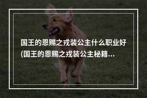 国王的恩赐之戎装公主什么职业好(国王的恩赐之戎装公主秘籍 一代巾帼公主)