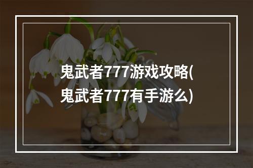 鬼武者777游戏攻略(鬼武者777有手游么)