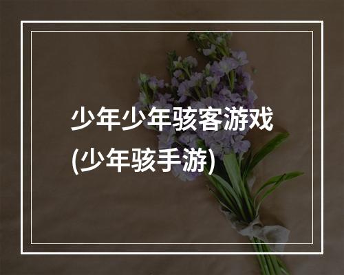 少年少年骇客游戏(少年骇手游)