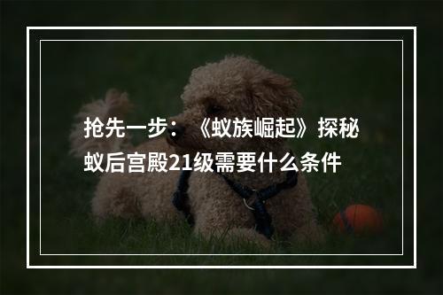 抢先一步：《蚁族崛起》探秘蚁后宫殿21级需要什么条件