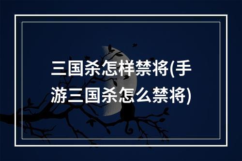 三国杀怎样禁将(手游三国杀怎么禁将)