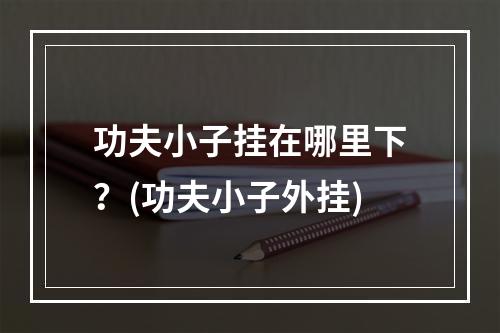 功夫小子挂在哪里下？(功夫小子外挂)