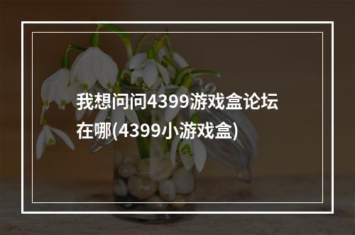 我想问问4399游戏盒论坛在哪(4399小游戏盒)