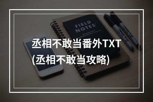 丞相不敢当番外TXT(丞相不敢当攻略)