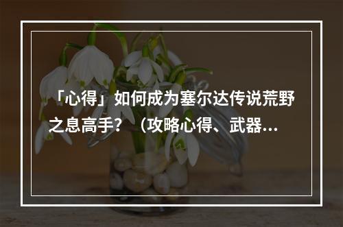 「心得」如何成为塞尔达传说荒野之息高手？（攻略心得、武器选择）