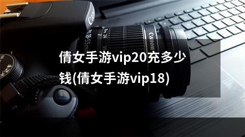 倩女手游vip20充多少钱(倩女手游vip18)