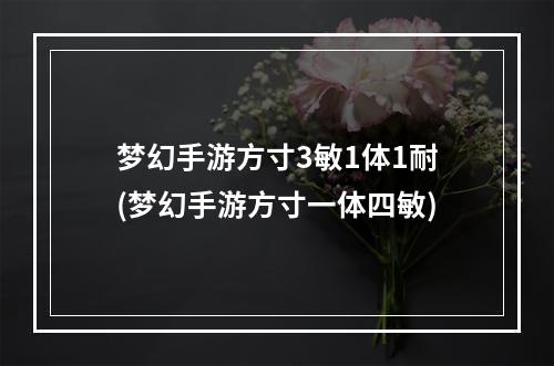 梦幻手游方寸3敏1体1耐(梦幻手游方寸一体四敏)