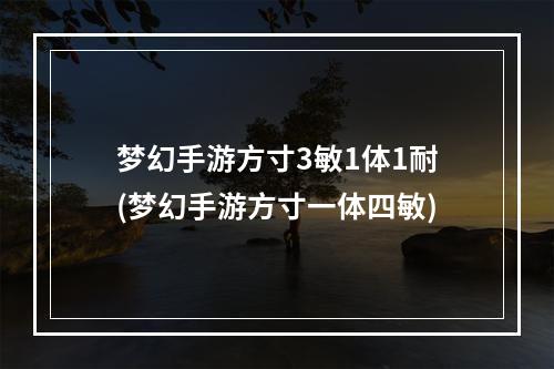 梦幻手游方寸3敏1体1耐(梦幻手游方寸一体四敏)