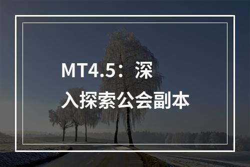 MT4.5：深入探索公会副本