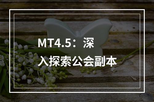 MT4.5：深入探索公会副本