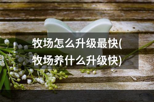 牧场怎么升级最快(牧场养什么升级快)