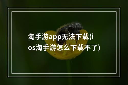 淘手游app无法下载(ios淘手游怎么下载不了)