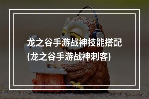 龙之谷手游战神技能搭配(龙之谷手游战神刺客)