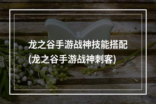 龙之谷手游战神技能搭配(龙之谷手游战神刺客)