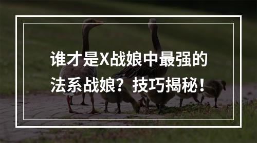 谁才是X战娘中最强的法系战娘？技巧揭秘！