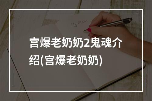 宫爆老奶奶2鬼魂介绍(宫爆老奶奶)