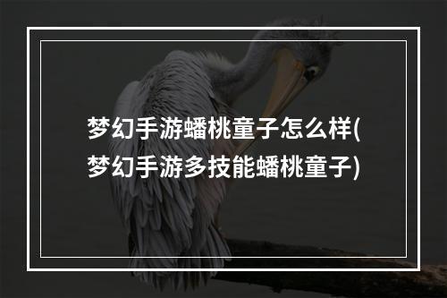 梦幻手游蟠桃童子怎么样(梦幻手游多技能蟠桃童子)