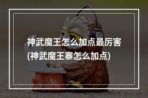 神武魔王怎么加点最厉害(神武魔王寨怎么加点)