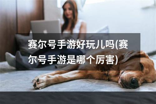 赛尔号手游好玩儿吗(赛尔号手游是哪个厉害)