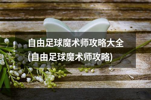 自由足球魔术师攻略大全(自由足球魔术师攻略)