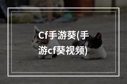 Cf手游葵(手游cf葵视频)