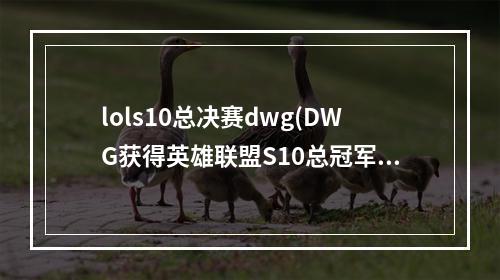 lols10总决赛dwg(DWG获得英雄联盟S10总冠军 DWG以3 1战胜SN获得2020)